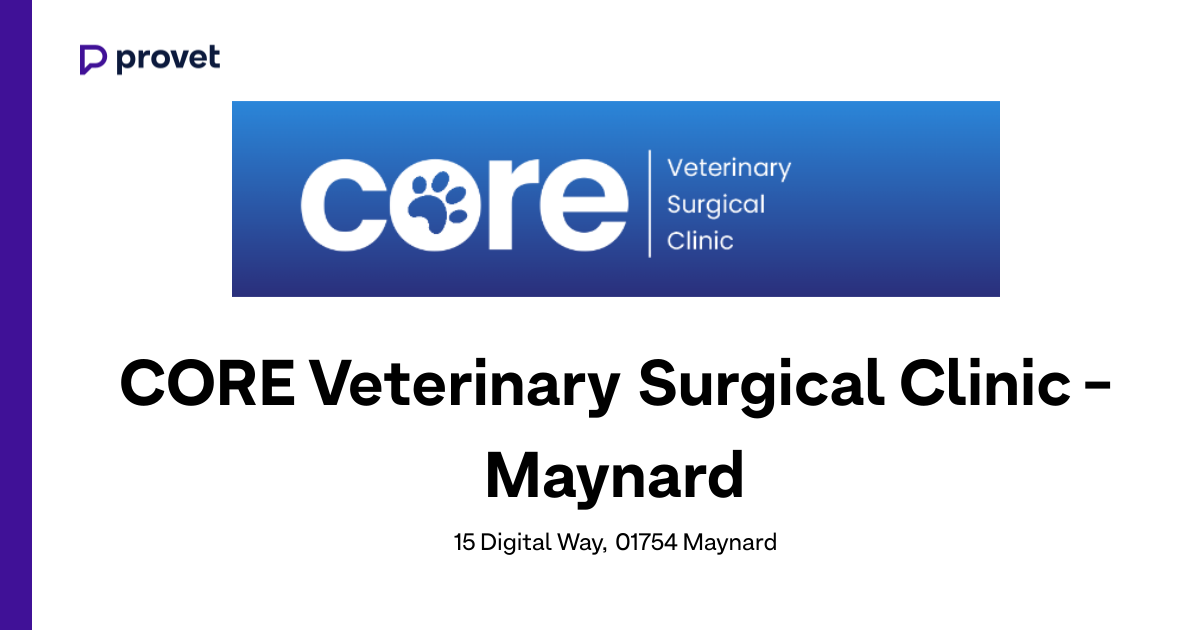 CORE Veterinary Surgical Clinic - Maynard, Maynard | Book a time