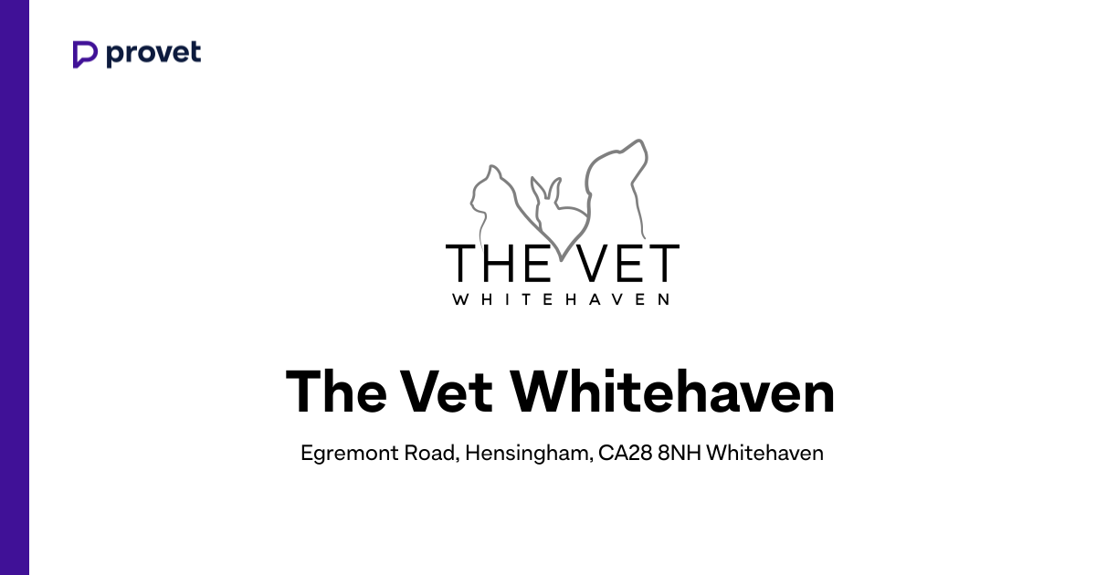 The Vet Whitehaven, Whitehaven | Book a time